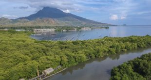 Kampung Blekok Situbondo: Surga Burung di Ujung Timur Jawa