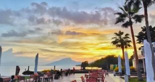 Rest Area Utama Raya Situbondo: Tempat Istirahat Nyaman di Perjalanan Jauh