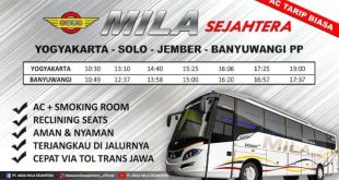 Jadwal Bus Banyuwangi Situbondo: Panduan Lengkap Perjalanan Anda