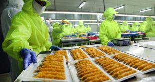 PT Panca Mitra Multiperdana Situbondo: Solusi Industri Terpadu