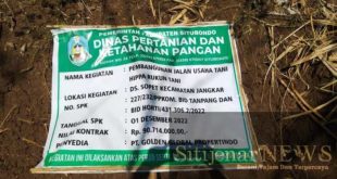 Dinas Pertanian Situbondo: Pilar Pertanian dan Ketahanan Pangan