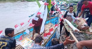 Petik Laut Situbondo: Surga Bawah Laut yang Memesona