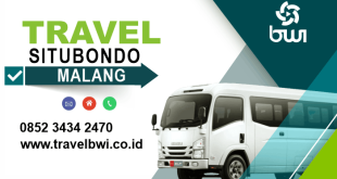 Jelajahi Pesona Malang dan Situbondo, Destinasi Menawan di Jawa Timur