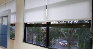 Kantor Pajak Situbondo: Pusat Layanan Pajak Terpadu