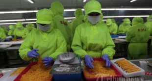 Pabrik di Situbondo: Peluang Investasi Menjanjikan