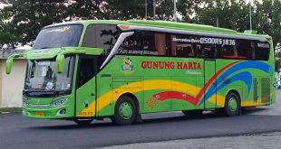 Jelajahi Situbondo Nyaman dengan Bus Surabaya Situbondo