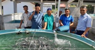 Balai Perikanan Budidaya Air Payau Situbondo: Mengembangkan Industri Akuakultur Lokal